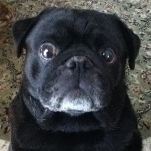 Meet your Posher, Marisa